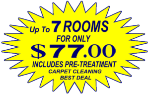 Ahwatukee Foothills Carpet Cleaners