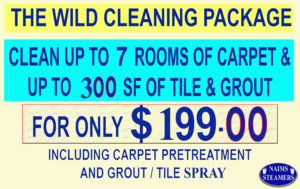 carpet cleaners in chandler az
