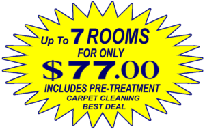 chandler carpet cleaning
